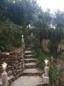 圣保罗-德旺斯La Mhirabelle的石墙花园中的石路