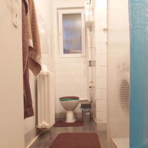 贝尔格莱德Apartment Beograd Dedinje VMA的一间带卫生间和窗户的浴室