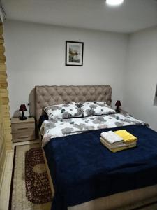 KalnaMilica 1的一间卧室配有一张带蓝色毯子和枕头的床。