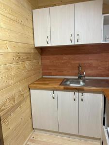 KalnaMilica 1的厨房配有白色橱柜和水槽