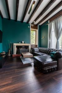 Le Patchouli Billard, Jardin & Confort的带沙发和壁炉的客厅
