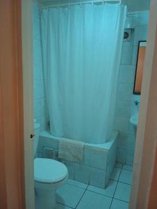 维纳德马Aquamarina Apart Hotel的浴室设有卫生间和带浴帘的淋浴。
