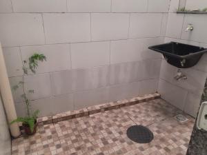 曼加拉蒂巴Paraiso da Costa Verde的一间带水槽和盆栽植物的浴室