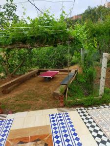 塔扎دار الضيافة تازكة Maison d'hôtes Tazekka的花园内带野餐长凳的凉亭