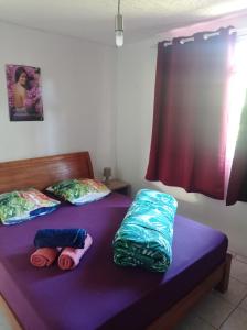 普纳奥亚Maison de vacances avec piscine et accès plage de sable blanc的配有紫色床单和枕头的客房内的两张床