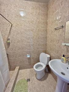 西格纳吉典雅公寓的一间带卫生间和水槽的浴室