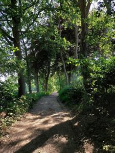 奥斯特豪特Boshuis Golfzicht "Wellness, Golf & Nature"的两边有树木的土路