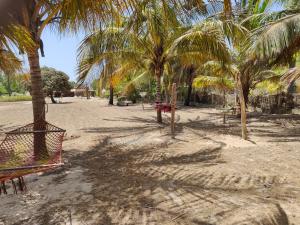 PalmarinGrande maison en bordure de plage的棕榈树海滩和秋千