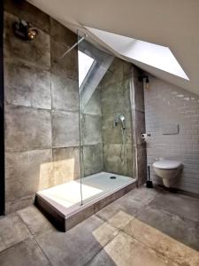 鲁昂Logement Industriel & Atypique的带淋浴和卫生间的浴室