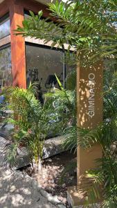 图卢姆Estudio completo en la selva的窗户前有植物的建筑