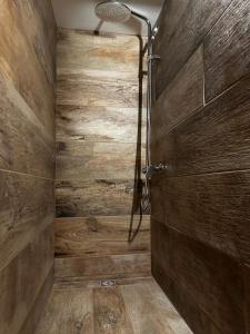 Grez-DoiceauÔ nature的带淋浴的浴室和木墙