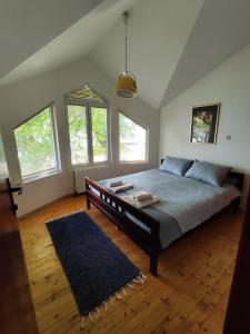 奥赫里德Villa Paradiso的一间带一张大床的卧室,位于带窗户的房间内