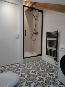 第戎Place Barbe的带淋浴和卫生间的浴室