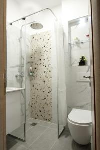 吉诺卡斯特Emblematic House Apartment 1的带淋浴、卫生间和玻璃门的浴室