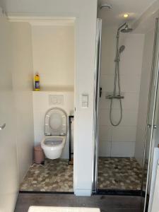 卑尔根Chalet Parfait的一间带卫生间和淋浴的小浴室