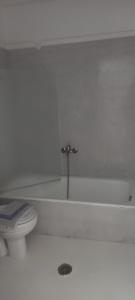 佩里萨Dimitris Studios的白色的浴室设有卫生间和浴缸。