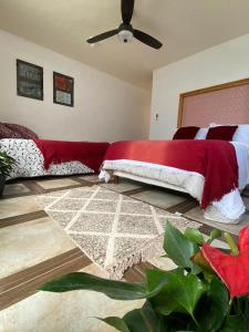 库埃纳瓦卡Casa Don Pancho的一间卧室配有一张带红色毯子的床