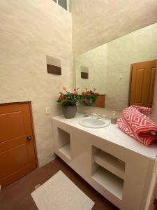 库埃纳瓦卡Casa Don Pancho的一间带水槽和大镜子的浴室