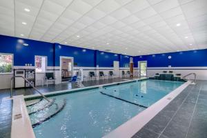 布伦瑞克贝斯特韦斯特布伦瑞克酒店的一座拥有蓝色墙壁的大型游泳池