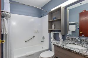 干岭干岭温德姆麦克罗特套房酒店的一间带水槽、卫生间和淋浴的浴室