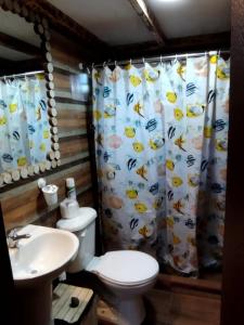 瓦尔帕莱索Cabaña laguna los patos的浴室设有淋浴帘、卫生间和水槽