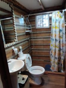 瓦尔帕莱索Cabaña laguna los patos的浴室配有白色卫生间和盥洗盆。