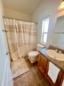 二十九棕榈村Bodhi House, Joshua Tree National Park的带淋浴、卫生间和盥洗盆的浴室