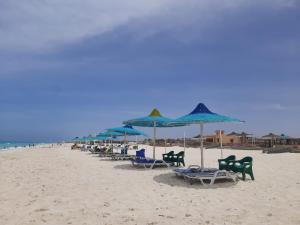 Dawwār Abū al ‘Āşīمارسيليا بيتش ١ شاليه的海滩上的一排椅子和遮阳伞