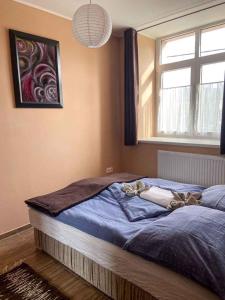 赫维兹Holiday home in Heviz - Balaton 44882的一间卧室配有一张带蓝色床单的床和一扇窗户。