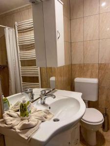 赫维兹Holiday home in Heviz - Balaton 44882的一间带水槽、卫生间和镜子的浴室