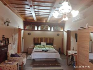 KisnánaHoliday home in Kisnana - Ostungarn 44896的一间卧室配有一张大床和一个吊灯。