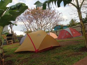 安加罗阿Moehiva Camping Rapa Nui的一群帐篷坐在草地上
