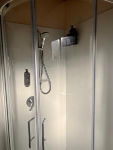 费尔利松林汽车旅馆的浴室内设有一个带淋浴喷头的淋浴间。