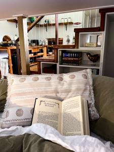 热水海滩Adventurer's Chest - Taiwawe的躺在床上枕头上的书