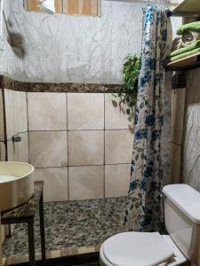 阿拉胡埃拉Casa Rústica Pura Vibra的一间带卫生间和水槽的浴室
