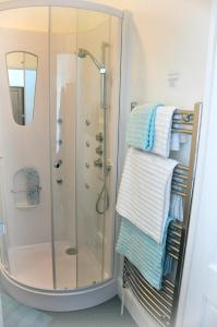 廷塔杰尔Gordon House B & B的浴室内提供毛巾架淋浴
