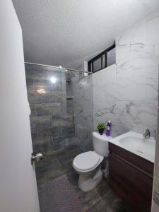 内瓦Encantador y Confortable Apartamento的浴室配有卫生间、盥洗盆和淋浴。
