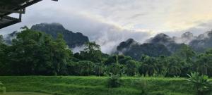 考索Phu Siab Mhok@KhaoSok的一片树木和山脉的田野