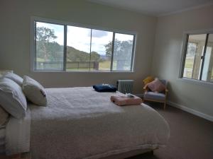 DalveenGalah Cottage Stanthorpe的一间卧室设有一张床和两个窗户。