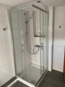 温特贝格Ferienwohnung Hildfeld KORS的浴室里设有玻璃门淋浴