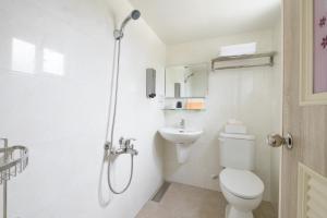 宜兰市乘風之旅溫馨包層華廈每日只接待一組客人最多6人的带淋浴、卫生间和盥洗盆的浴室