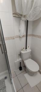 Montoir-de-BretagneStudio, TopdestinationBretagne的白色的浴室设有卫生间和淋浴。