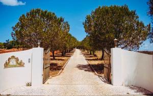 拉戈斯Quinta da Bela Vista的一条空的、有白色栅栏和树木的道路