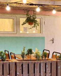盖贝莱Pavlove Tiny Bus House in Qabala的一张长桌,上面有盆栽植物