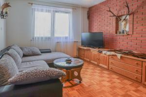 佐尔尼耶戈迪Holiday House Radovna Bled的带沙发和平面电视的客厅