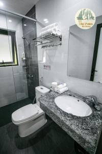 河江TVpalm Ecolodge的一间带水槽、卫生间和镜子的浴室