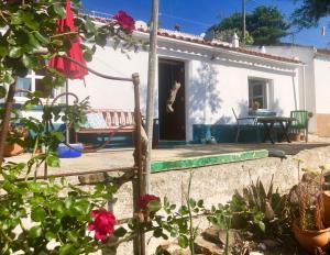 阿尔热祖尔Casa Anneli - relaxing under the olive tree的白色的小房子,带门廊和鲜花