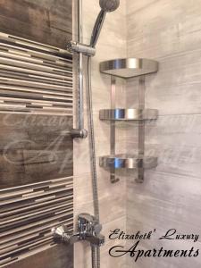 帕莫瑞Elizabeth' Luxury Apartments的浴室里带镀铬装置的淋浴