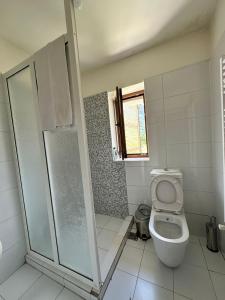 瓦勒博内Hostel Quku i Valbones的一间带卫生间和淋浴的浴室