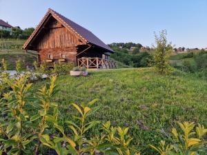 MirnaVineyard cottage Vinska grajska kašča的田野上山丘上的木屋